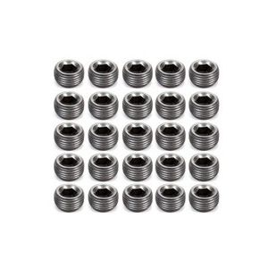 PIONEER #PP-554-25 Pipe Plugs - 3/8 (25)