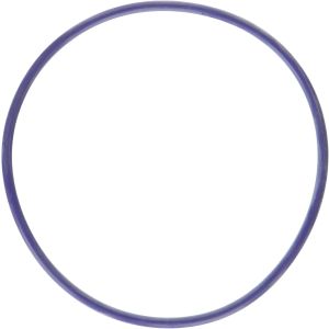 MAHLE ORIGINAL/CLEVITE #K31309 Water Pump Gasket 11-24 Ford 5.0L