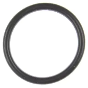 MAHLE ORIGINAL/CLEVITE #G32944 EFI Throttle Body O-Ring 05-10 Hemi 6.1L