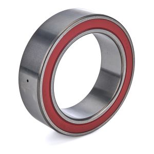 Ti22 PERFORMANCE #TIP2110 Pro Birdcage Bearing 28MM