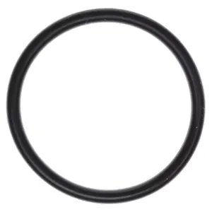 MAHLE ORIGINAL/CLEVITE #G33228 EFI Throttle Body O-Ring 05-10 Hemi 6.1L