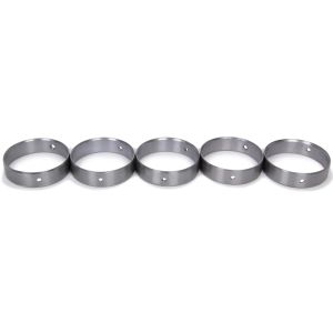 ACL BEARINGS #5C1001S-00 Cam Bearing Set