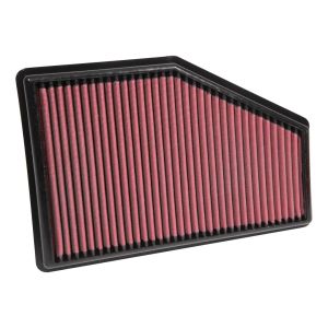 AEM INDUCTION #28-50049 DryFlow Air Filter