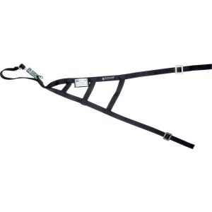 ALLSTAR PERFORMANCE #ALL10246 Triangle Window Net SFI