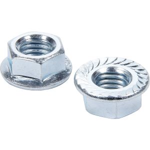 ALLSTAR PERFORMANCE #ALL16044-10 Serrated Flange Nuts 1/2-13 10pk