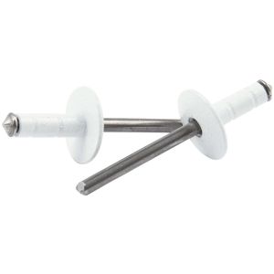 ALLSTAR PERFORMANCE #ALL18096 Lg Hd Rivet White 250pk Multi Grip