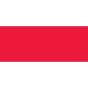 ALLSTAR PERFORMANCE #ALL22203 Aluminum Xtreme Red 4x10