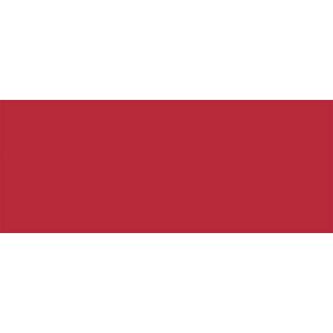 ALLSTAR PERFORMANCE #ALL22209 Aluminum Red/Red 4x10