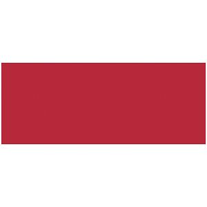 ALLSTAR PERFORMANCE #ALL22484 Aluminum Red/Red 4x10-1/2