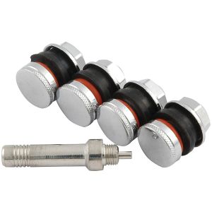 ALLSTAR PERFORMANCE #ALL44137 Valve Stem Flush Mount 4pk