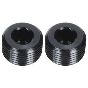 ALLSTAR PERFORMANCE #ALL49802 Allen Plugs NPT 1/4in 2pk