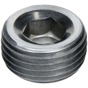 ALLSTAR PERFORMANCE #ALL49813 Allen Plugs NPT 3/8in Steel 2pk