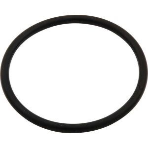 ALLSTAR PERFORMANCE #ALL99136 Repl O-Ring for Water Neck