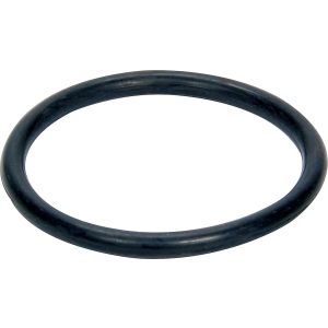 ALLSTAR PERFORMANCE #ALL99358 O-Ring for Radiator Inlet Fitting