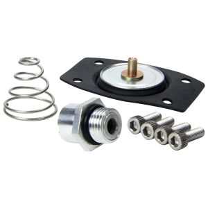 ALLSTAR PERFORMANCE #ALL99430 Rebuild Kit for ALL40290