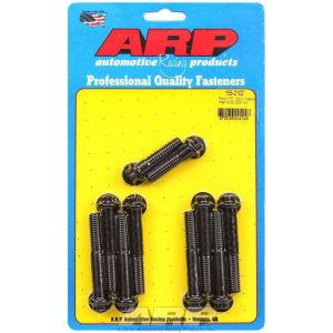 ARP #155-2102 Ford Intake Bolt Kit - 12pt. FE