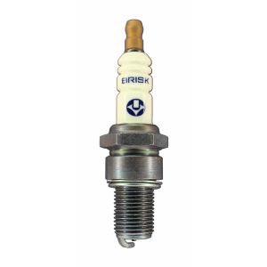 BRISK RACING SPARK PLUGS #LR10SL Spark Plug Silver Racing