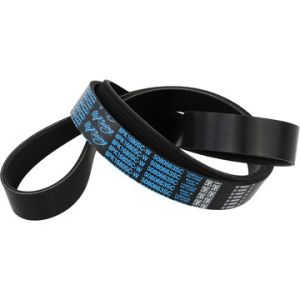 DAYCO PRODUCTS LLC #5080663SC Supercharger Belt Ford Lightening 99-03