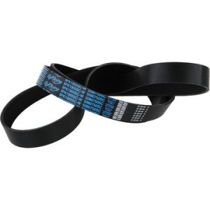 DAYCO PRODUCTS LLC #5080750SC Supercharger Belt Cobra Mustang  03-04