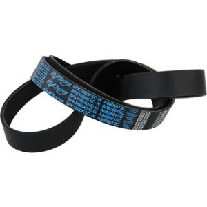 DAYCO PRODUCTS LLC #A080661SC Supercharger Belt ZL1 Camaro  12-15