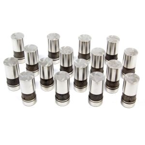 ELGIN #ELGHL-1900-16 Hydraulic Lifter - Ford V8