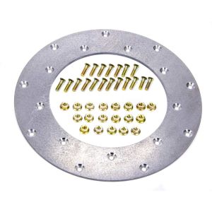 FIDANZA ENGINEERING #229501 Flywheel Insert Plate