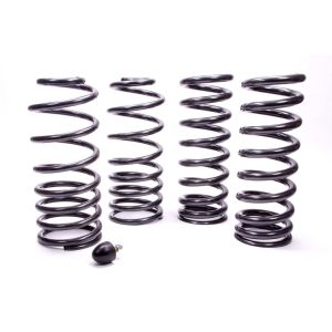 FORD #M-5300-G Coil Spring Kit 79-04 Mustang