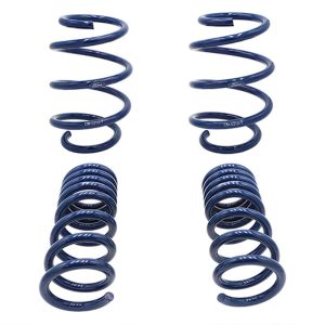 FORD #M-5300-W Lowering Spring Kit Mustang GT350 15-18