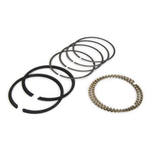 HASTINGS #6164 Piston Ring Set 2-Cyl.