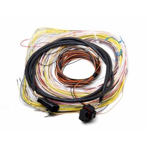 HOLLEY #558-401 Auxiliary Harness J2A Connector