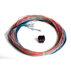 HOLLEY #558-402 J2B Auxiliary Harness Kit