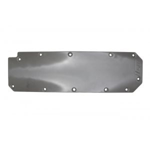 ICT BILLET #551182-L87 Valley Cover Plate Gen V