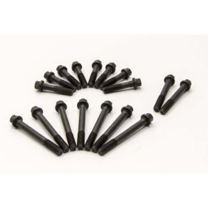 MANLEY #42313 SBC Head Bolts (1 Head) Brodix