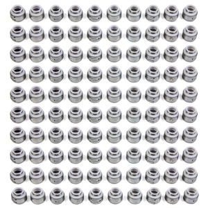 PIONEER #OS-1066-100 Teflon Oil Seals - 11/32 (100)