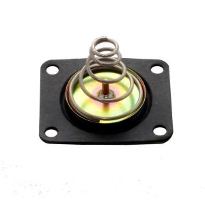 QUICK FUEL TECHNOLOGY #35-100QFT Diaphragm Kit - Pressure Regulator - Gas