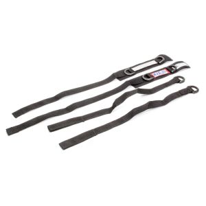 RJS SAFETY #11001701 Jr Dragster Arm Restrain