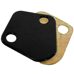 RACING POWER CO-PACKAGED #R2058BK B/B Chevy Fuel Pump Block Off Plate Black