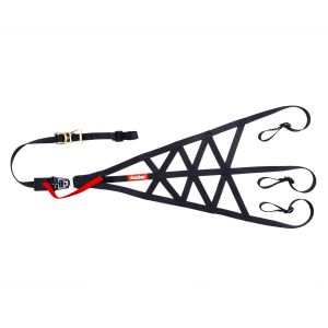 RACEQUIP #828998RQP Rollcage Net Side Black SFI 37.1
