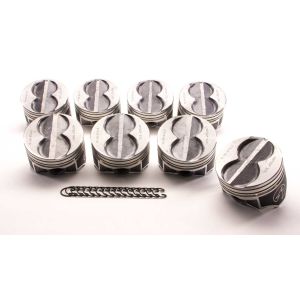 SEALED POWER #H273CP Cast Piston