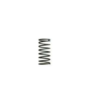TURBOSMART USA #TS-0502-2001 Gen4 WG50/60 5PSI Spring BLK/GRY