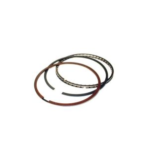 TOTAL SEAL #ML0690 45 Piston Ring Set 4.165 Gapless Top