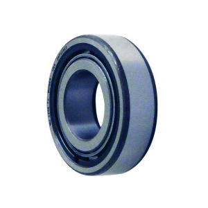 WINTERS #7331 Pinion Roller Bearing